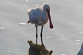 08 02 15_1654_edited-1
